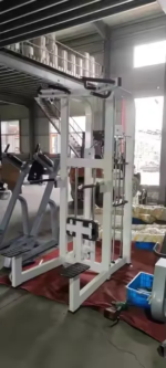 Commercial Pin Load Core Strength Training Machine - Image 5