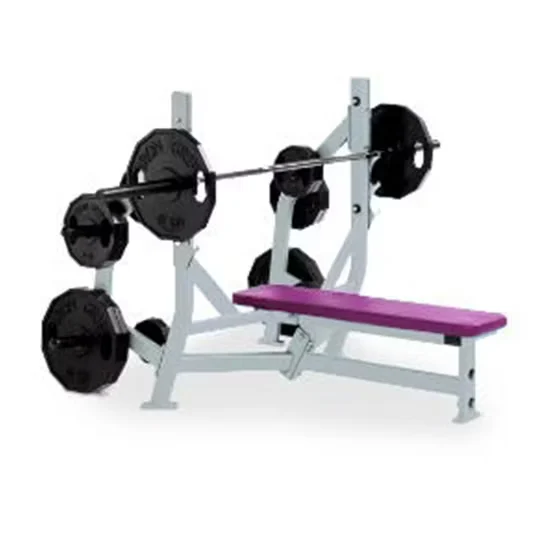 Commercial Hammer Strength Bench Weight Storage for Gym