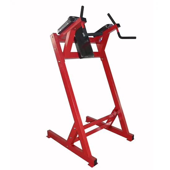 Commercial Leg Raise Machine 5059 In Stock Wholesale