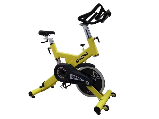Commercial Spinning Bike for Gym Cardio Fitness Wholesale