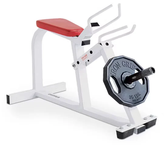 Hammer Strength Gripper 22 Plate Loaded Back Extension In Stock