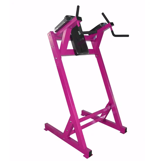 Hammer Strength Leg Raise Machine Wholesale In Stock