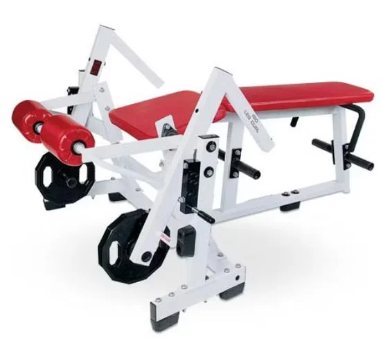ISO-Lateral Leg Curl Machine 5029 In Stock Wholesale Bulk Supply