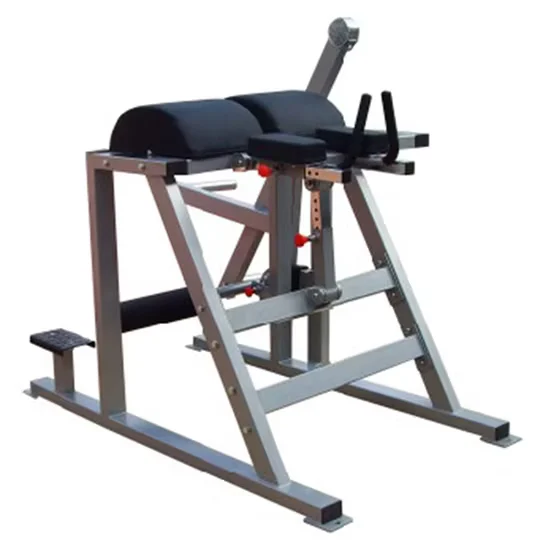 Reverse Hyper Extension Machine 5073 Wholesale In Stock