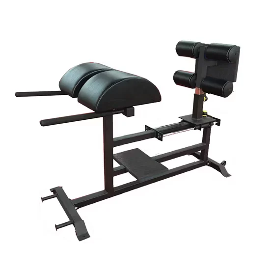 SRH-76 GHD Glute Ham Developer Strength Training Machine In Stock