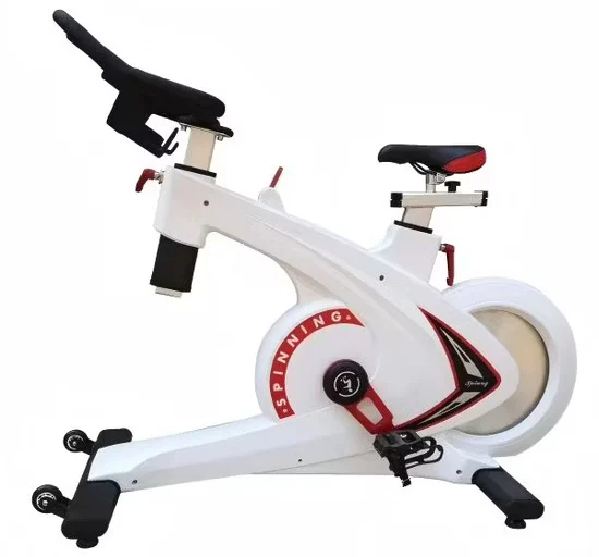 White Indoor Spinning Bike Magnetic Resistance Gym Equipment In Stock