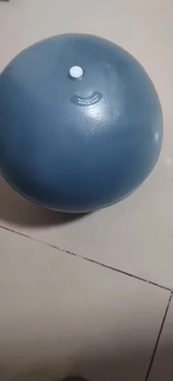 Wholesale Mini Pilates Ball 25cm PVC Yoga Exercise Ball In Stock